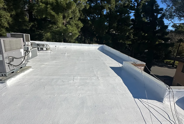 Long-lasting silicone roof coating
