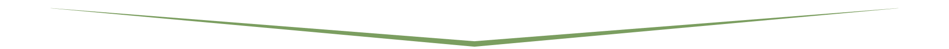 Banner Shape Divider